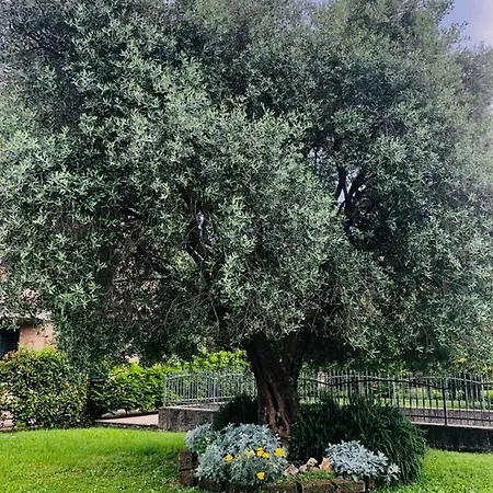 Apartman Casacreo *